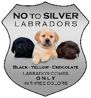 Miami Valley Labrador Retriever Club 